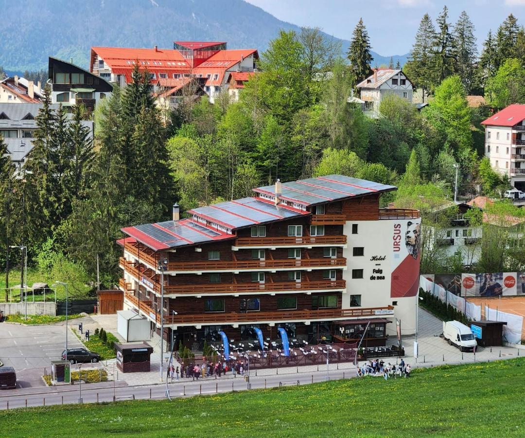 Cabana Fulg De Nea Predeal Exterior photo